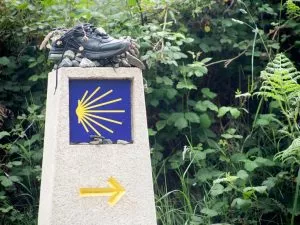 peregrinos Caminoportada