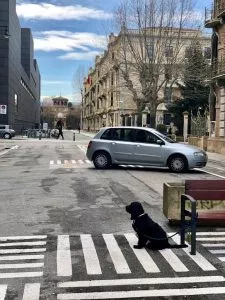 WhatsApp Image 2021 02 12 At 11.58.17 15